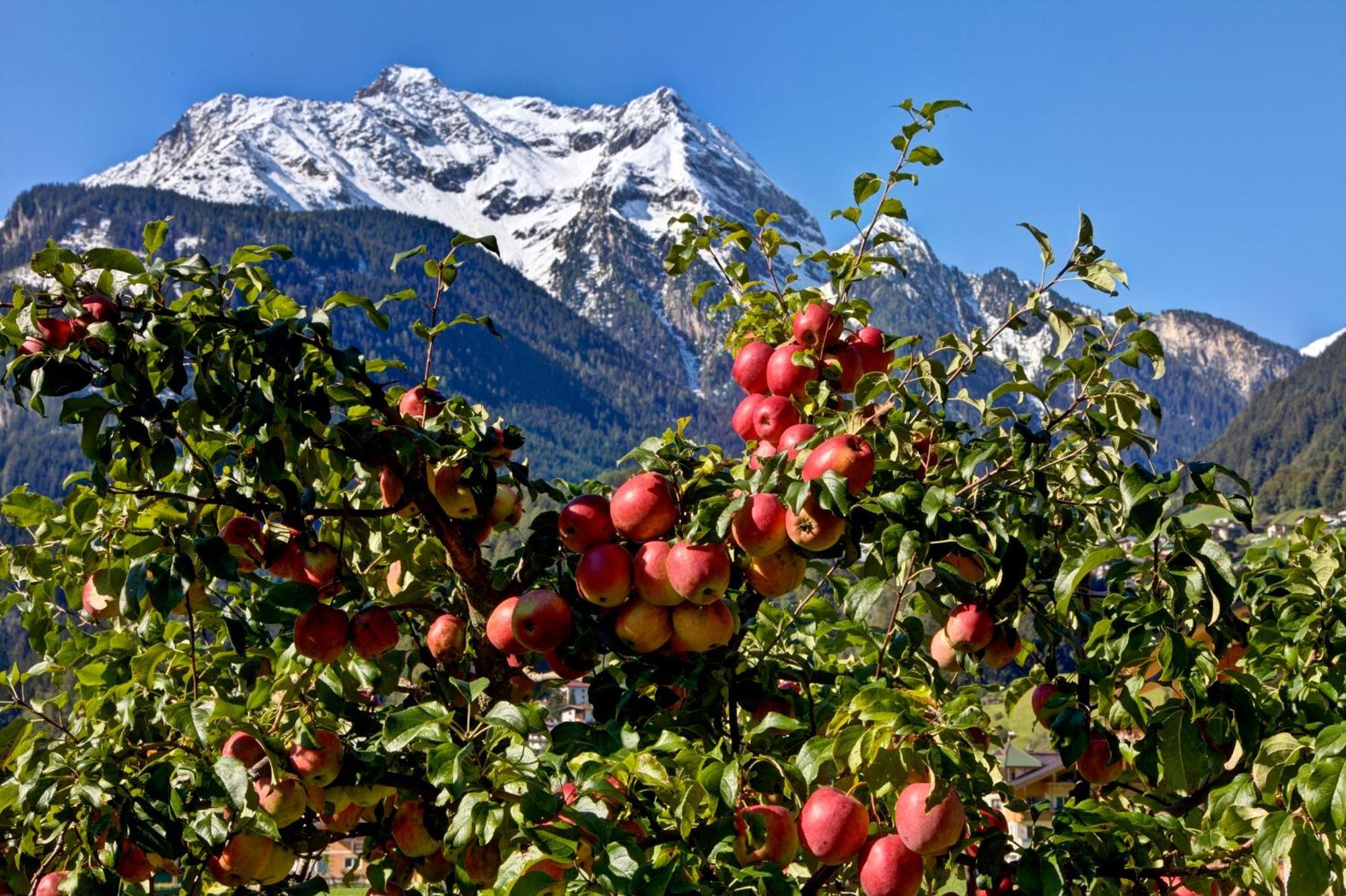 Gaestehaus Oblasser Mayrhofen Buitenkant foto