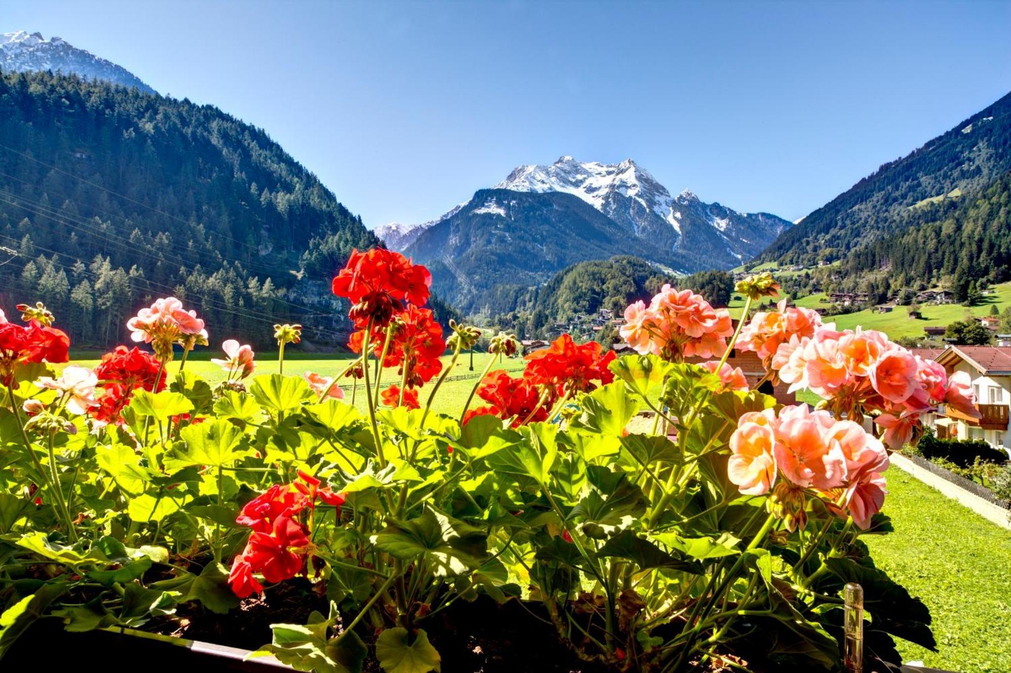 Gaestehaus Oblasser Mayrhofen Buitenkant foto